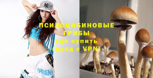 СК Абинск